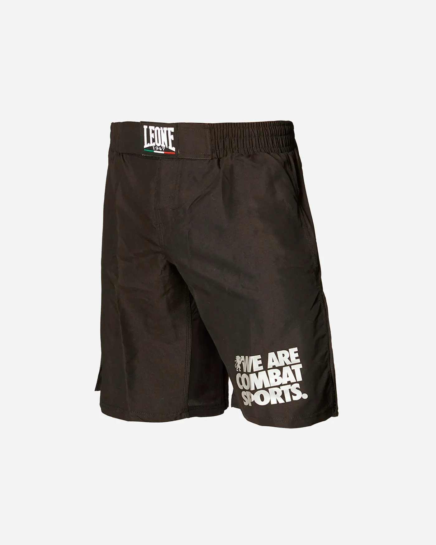 BASIC MMA M