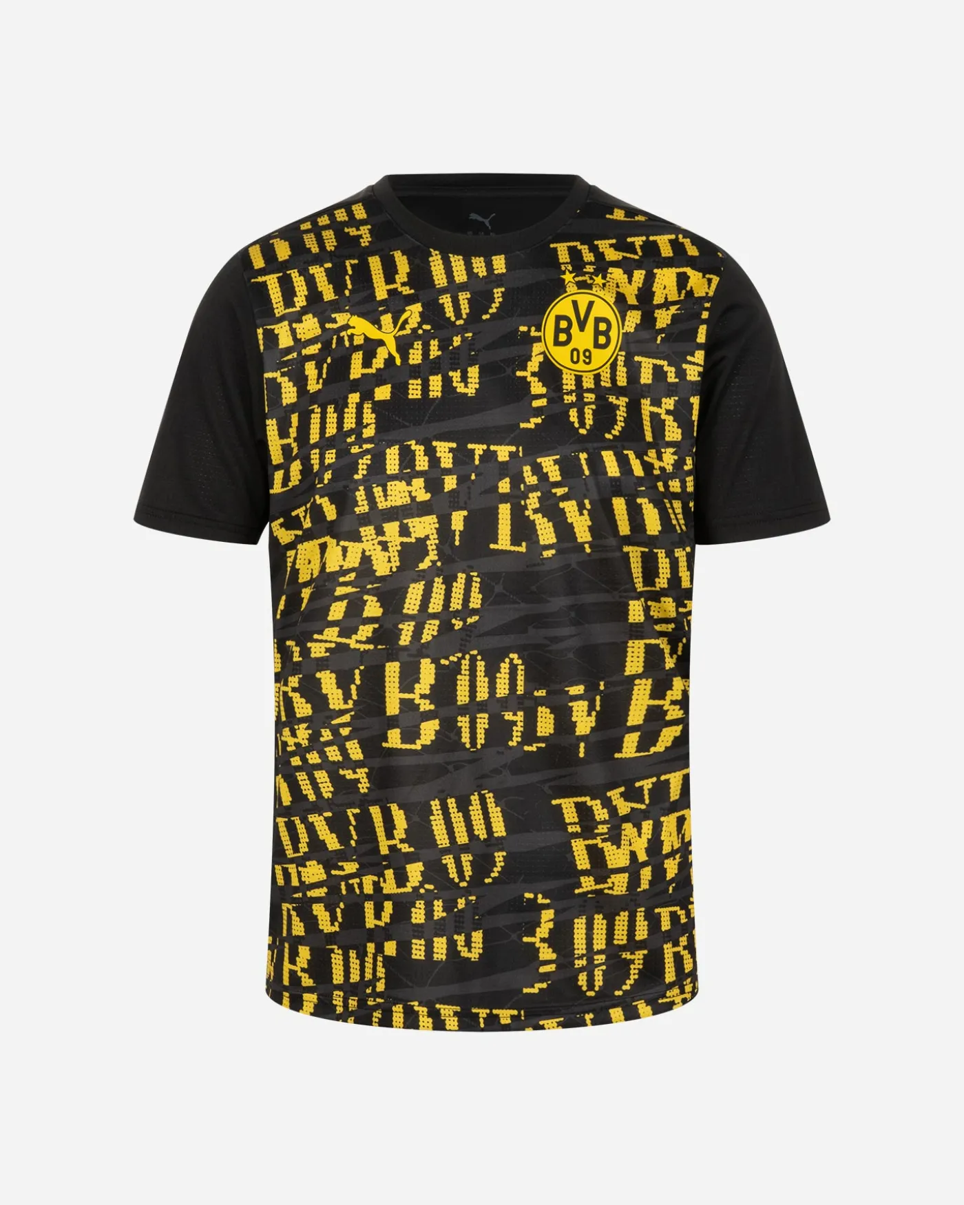 BORUSSIA DORTMUND PREMATCH 24-25 M