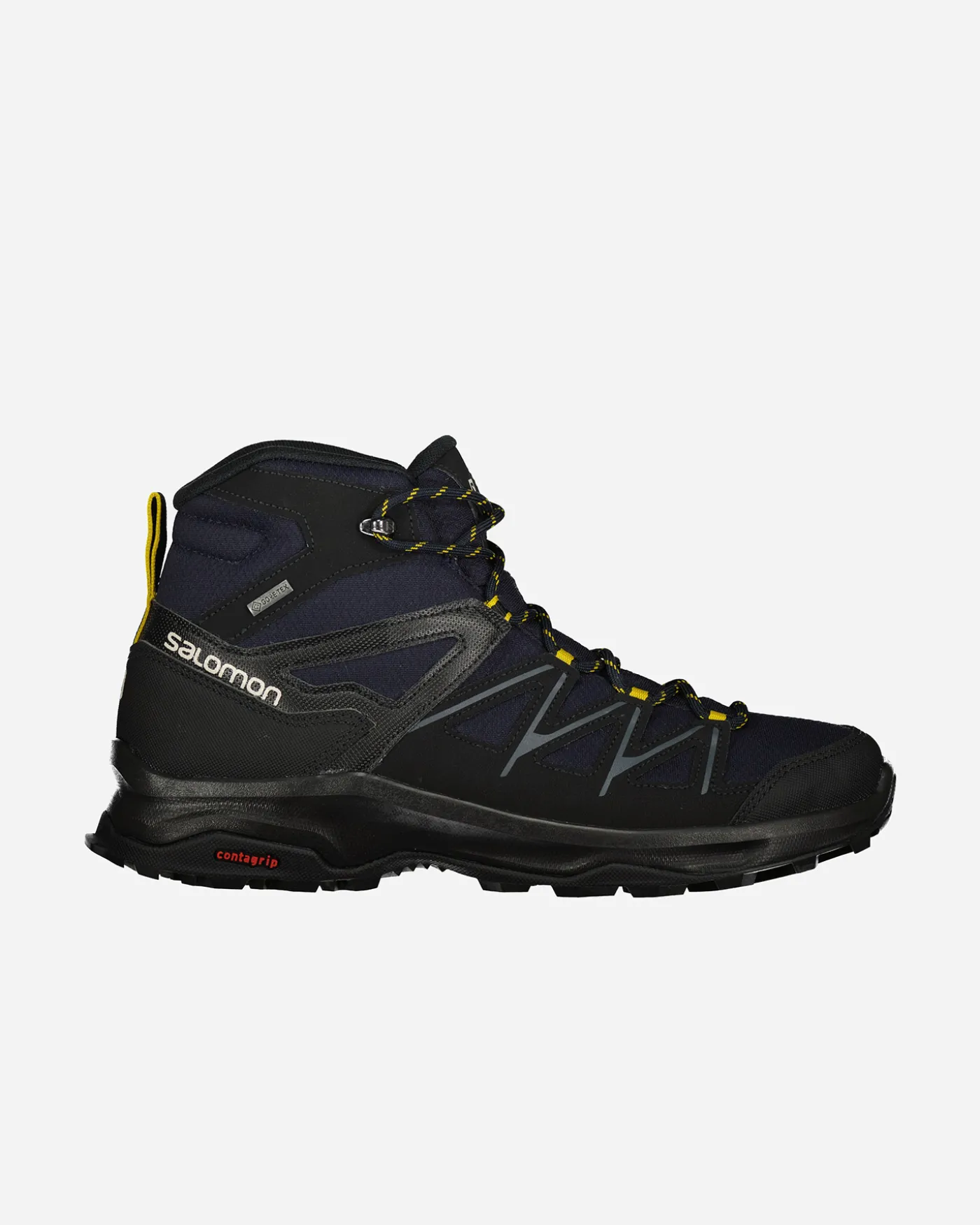 DAINTREE MID GTX M