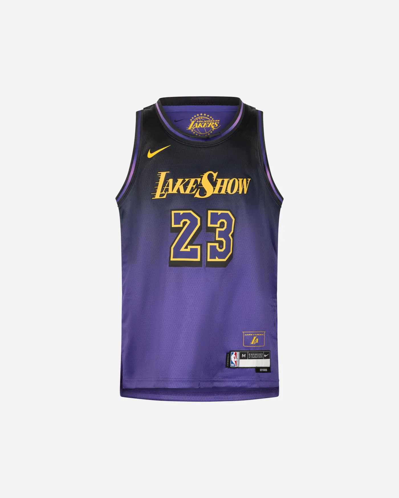 LOS ANGELES LAKERS LEBRON JR
