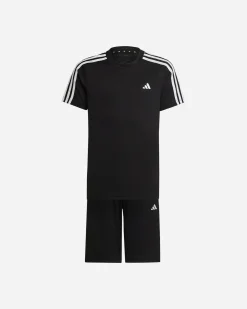SET BASIC JR