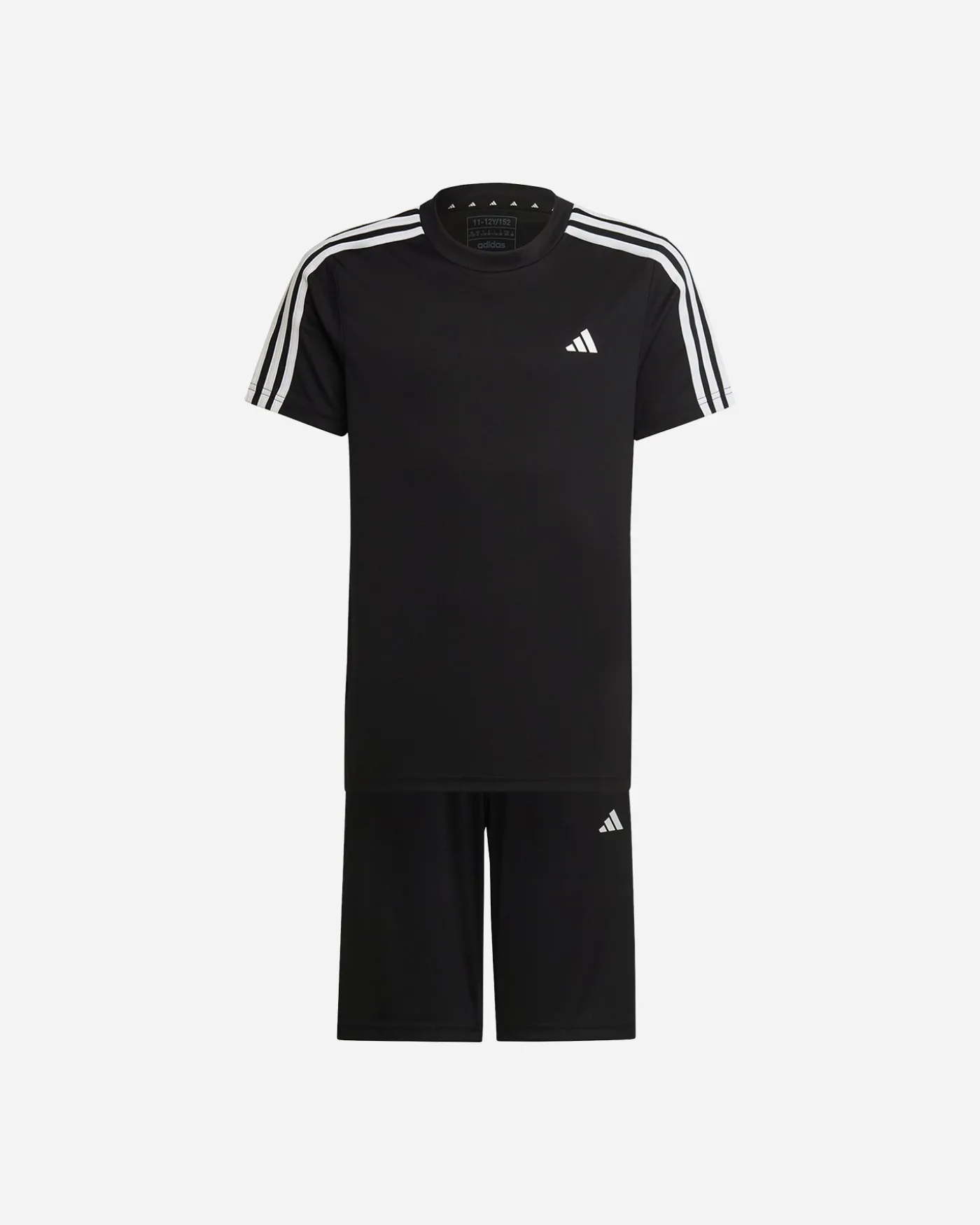 SET BASIC JR